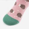 imageCOTTON DAY 7 Days of the Week Gift Box Kids Girls Fashion Short Socks Cute Animal Floral Stars Stripes ampamp Polka Dots DesignSelection 2  Animals Stars 7 Pack